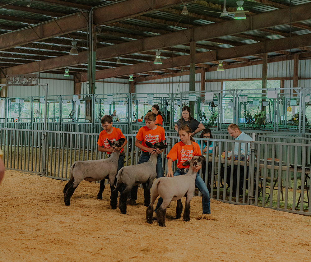 Platte County Fair Join us for the Platte County Fair and enjoy the